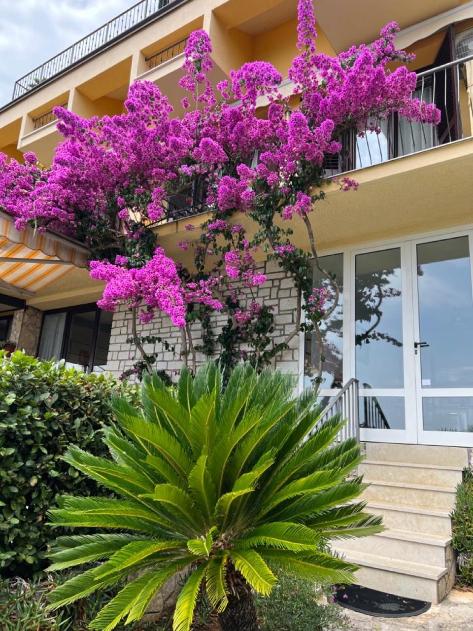 רוביני Rooms Figarola מראה חיצוני תמונה